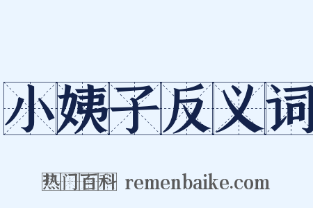 小姨子反义词是什么意思的图片